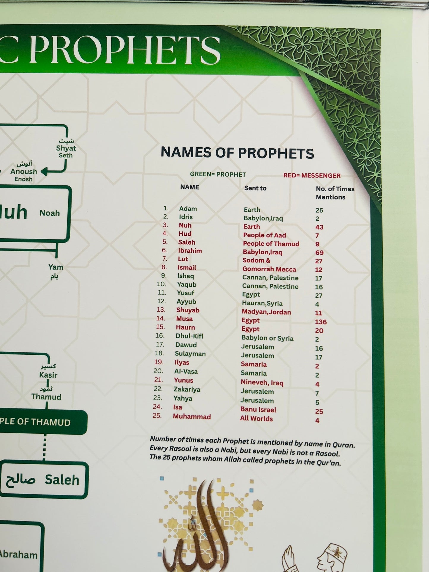 Holy Quran (Roman English) + Family Tree