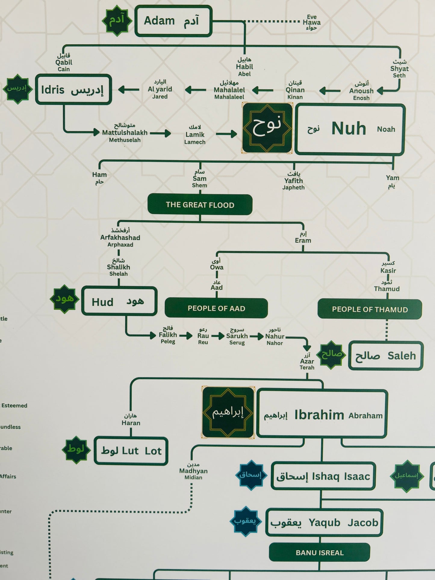 Holy Quran (Roman English) + Family Tree